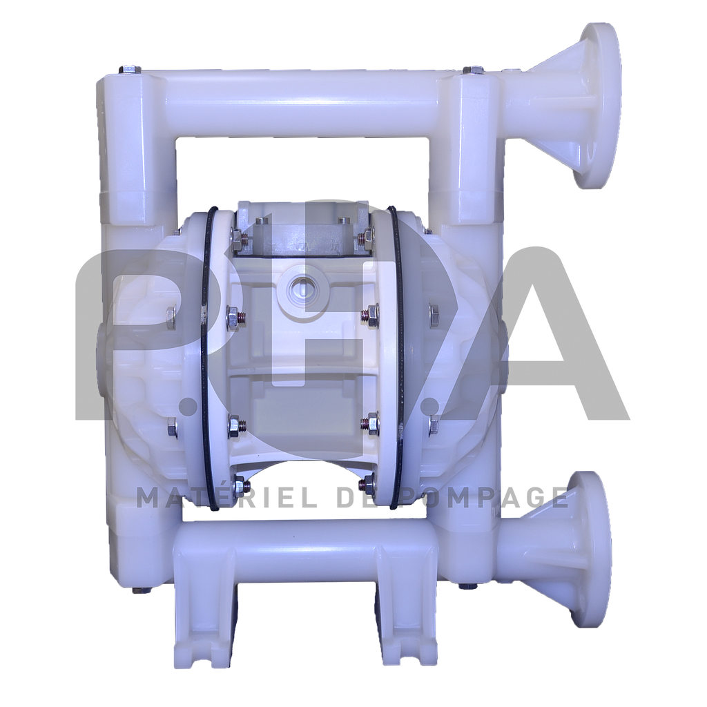 Pompe pneumatique à membranes type E1 (E1KP5F5T9C)