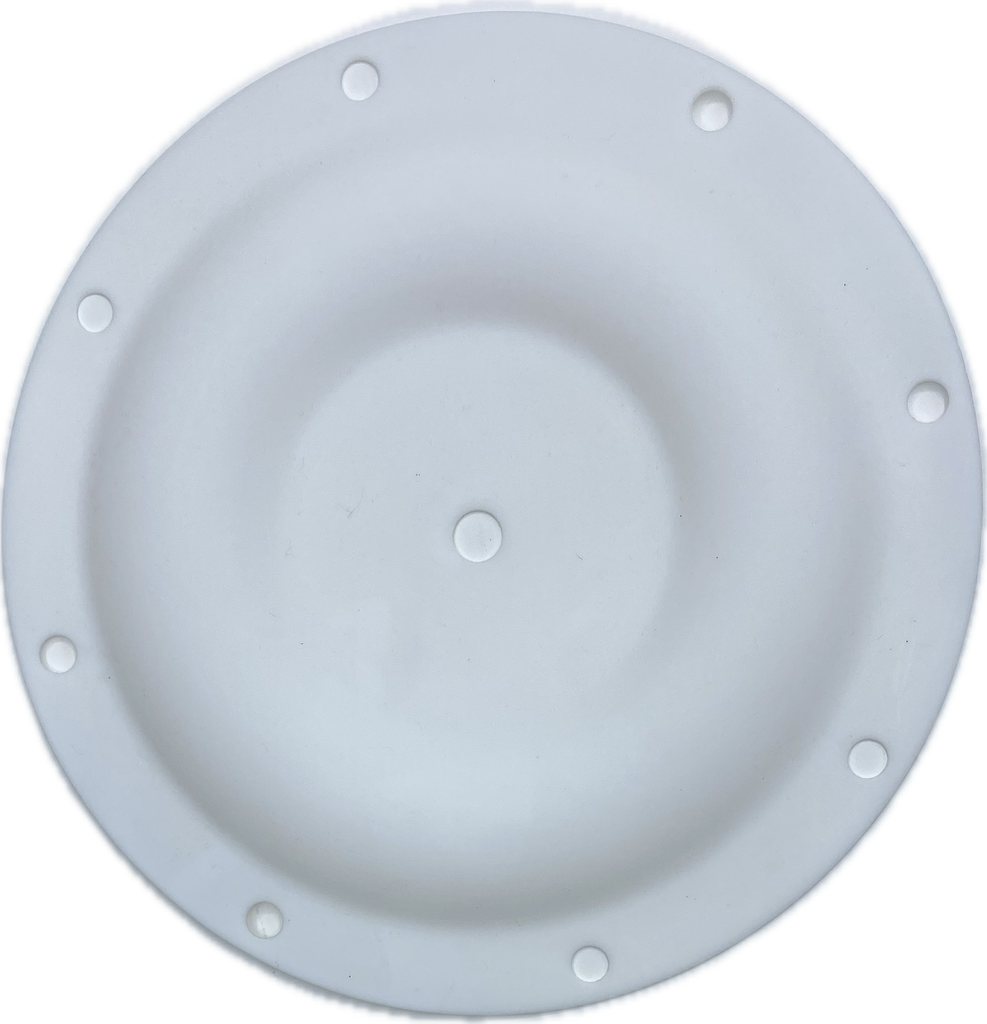 Membrane en PTFE pour pompe BLAGDON 1"