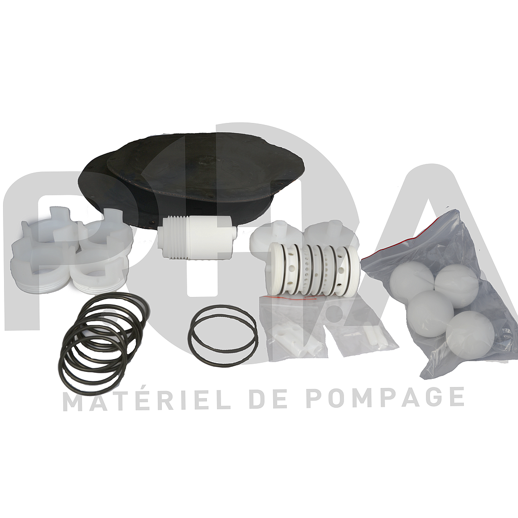 Kit de maintenance pour pompe DM40