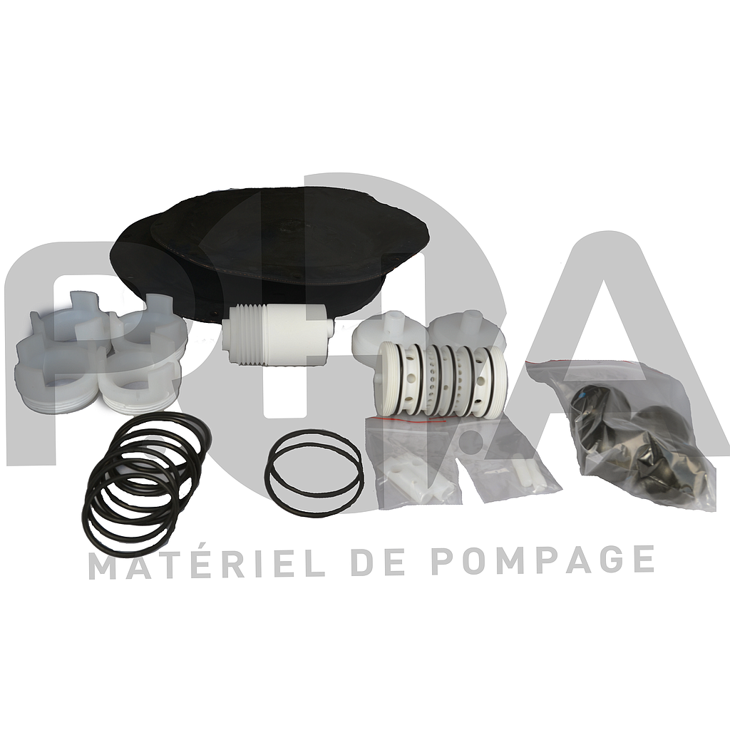 [SET2DM40PEE] Kit de maintenance pour pompe DM40