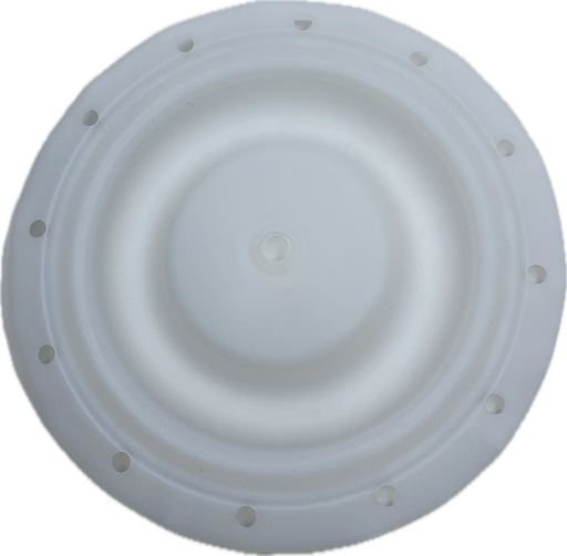 [109916] Membrane en PTFE FT15/20 rev1 