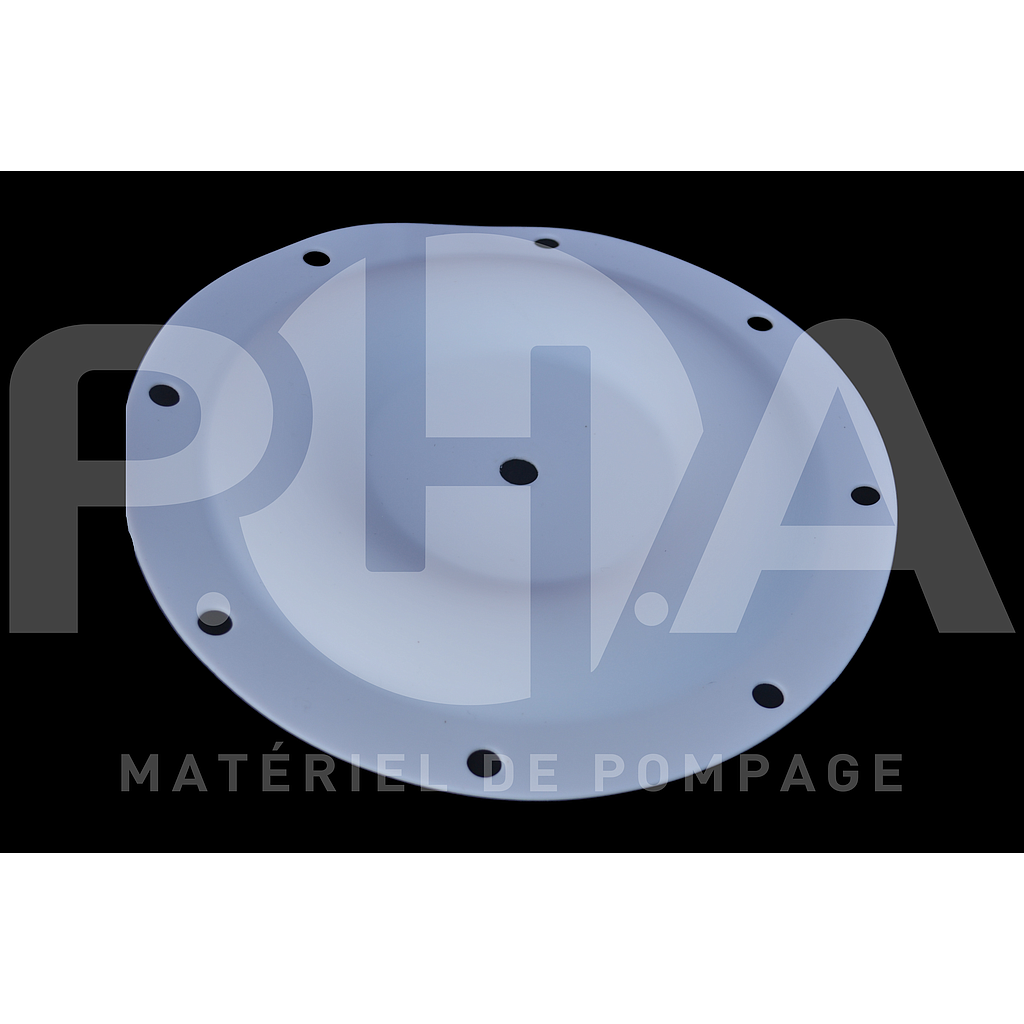 [1A071] Membrane en PTFE pour pompe BLAGDON 1"