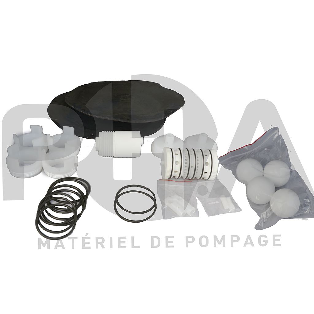 [SET2DM40PTT] Kit de maintenance pour pompe DM40